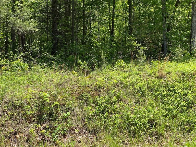 59 Alpine Dr Lot 59, Sevierville, TN 37876