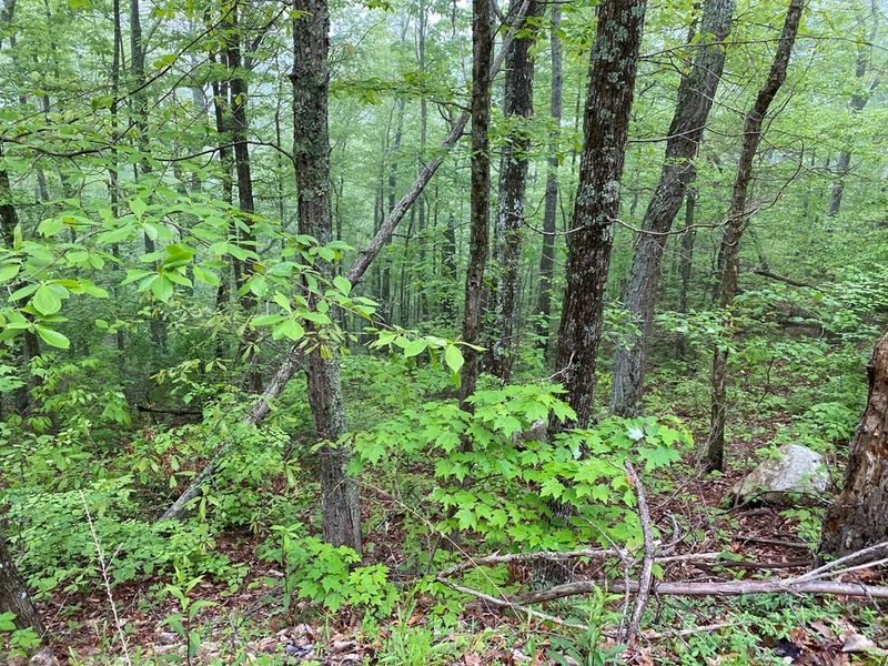 21 Linwood Ct Lot 21, Sevierville, TN 37876