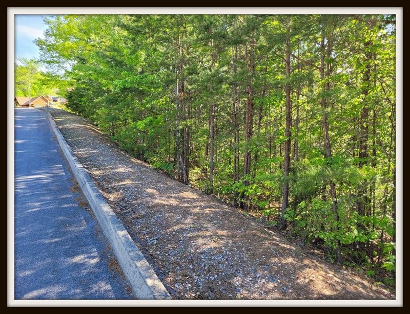 87 Thunder Mtn Rd Lot 87, Sevierville, TN 37862