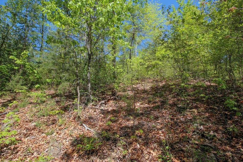0 Bluff Mountain Rd Lot 128, Sevierville, TN 37876