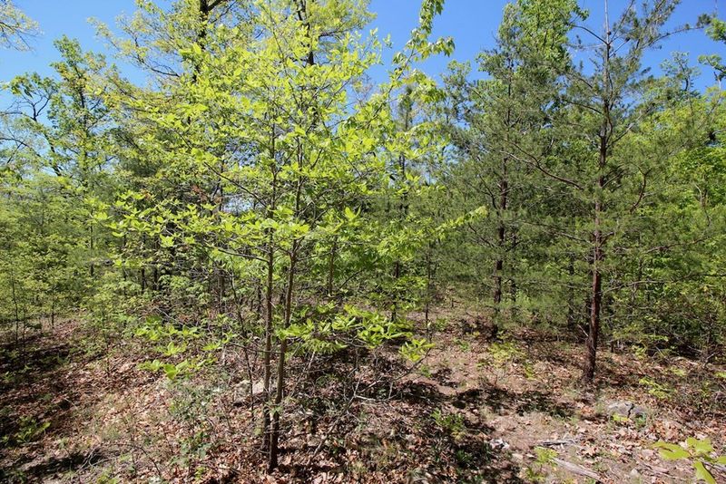 0 Bluff Mountain Rd Lot 128, Sevierville, TN 37876
