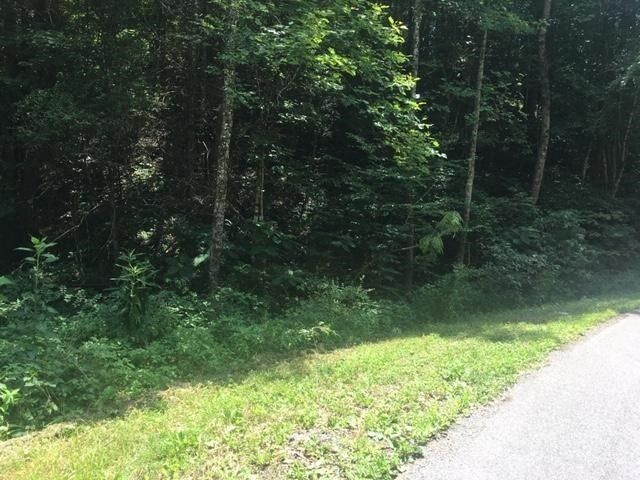 2 Gnatty Branch Rd Lot 2, Sevierville, TN 37876