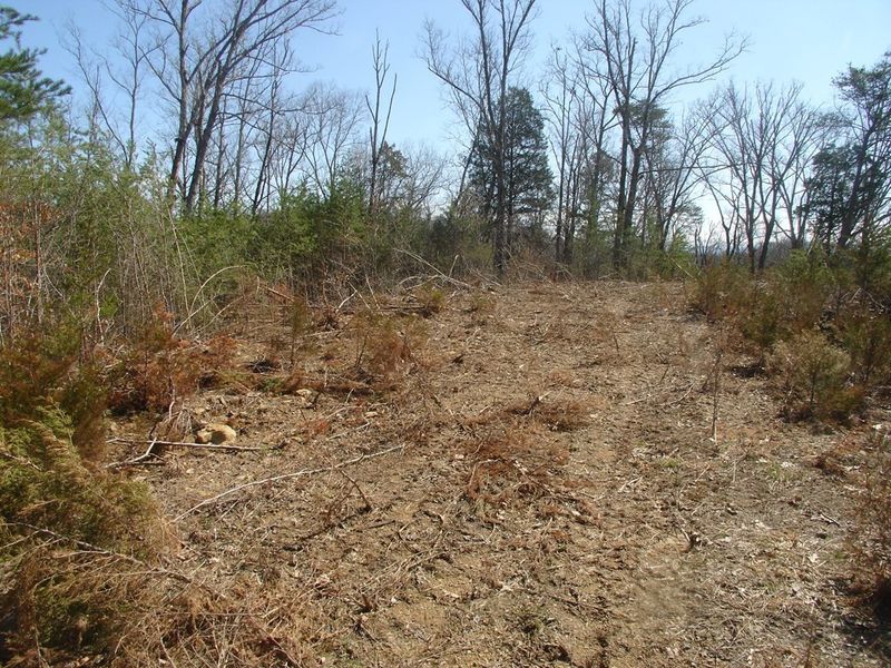 1 Whites School Rd Lot 1, Sevierville, TN 37876