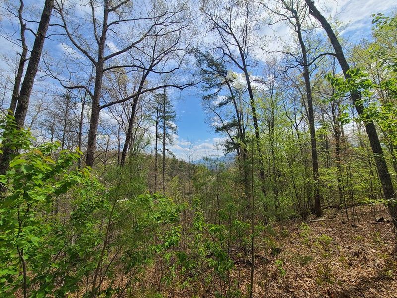 2706 Grassy Branch, Sevierville, TN 37876