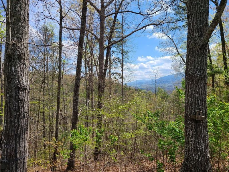 2706 Grassy Branch, Sevierville, TN 37876