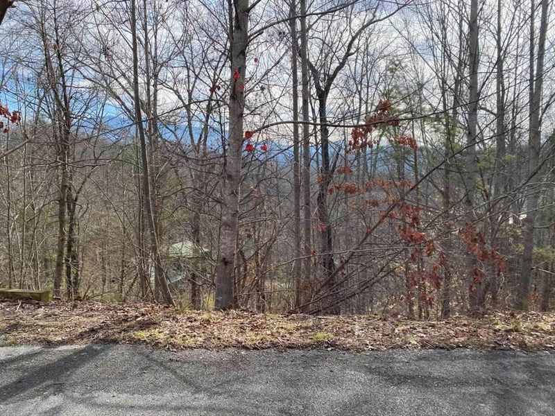 0 Breezy Rd Lot 6, Sevierville, TN 37876