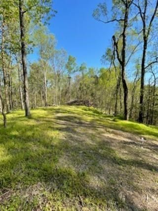 1860 King Estates Rd Lot 17&18, Sevierville, TN 37876