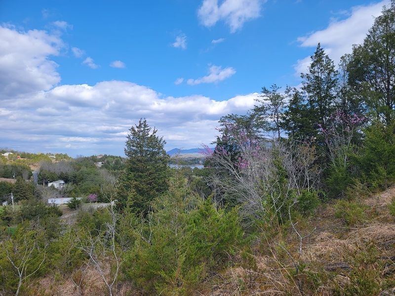 1 Bohanan Top Rd Lot 01, Sevierville, TN 37876