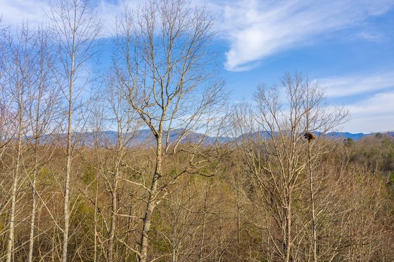 19 Treehouse Ln, Sevierville, TN 37876