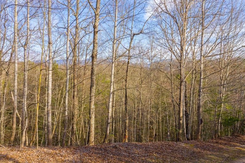 19 Treehouse Ln, Sevierville, TN 37876
