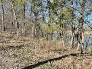0 Live Oak Lot 1, Sevierville, TN 37876