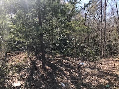 12 Lexy Ln Lot 12, Sevierville, TN 37862