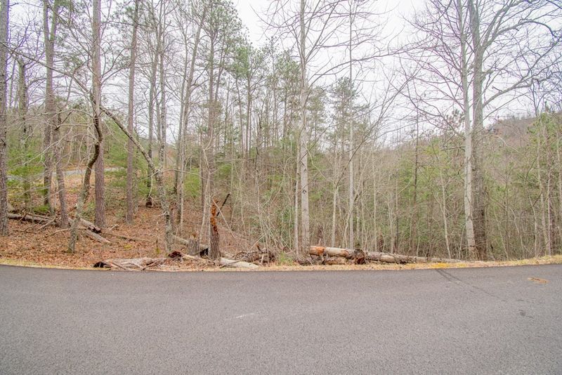 17 Misty Shadows Dr Lot 17, Sevierville, TN 37862