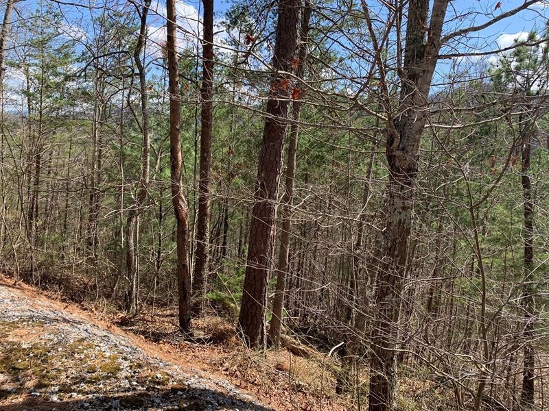 40 Ridgeback Ln Lot 40, Sevierville, TN 37862