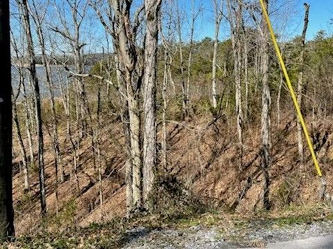 123 Aaron St Lot 4, Sevierville, TN 37876