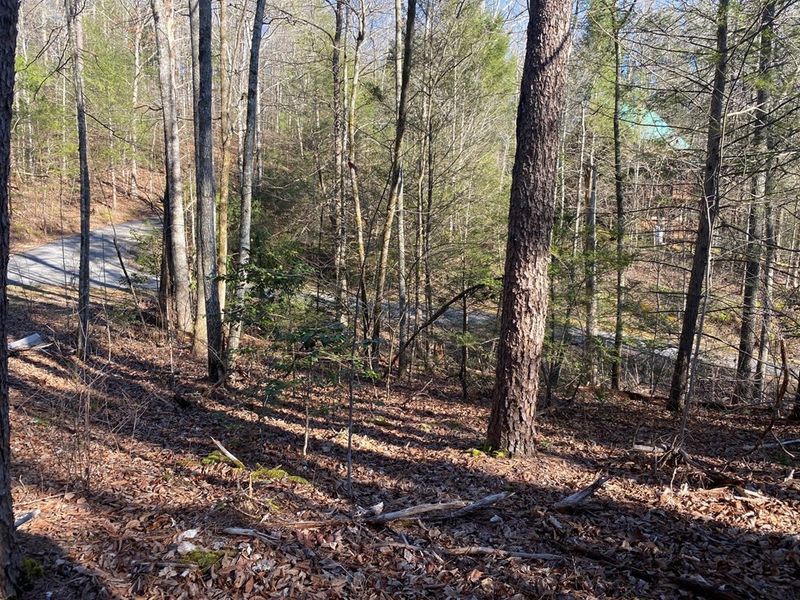 15 Birds Creek Rd Lot 15, Sevierville, TN 37876