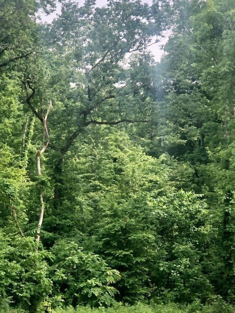 0 Hurlbut Way Lot 1-A, Sevierville, TN 37862