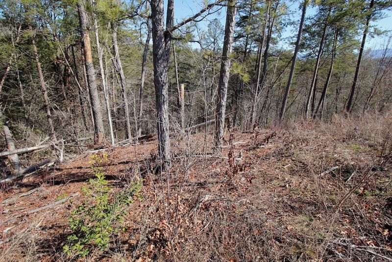 24 Mountain Ash Way Lot 24, Sevierville, TN 37876