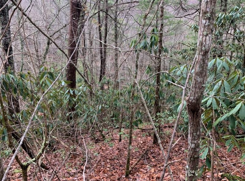 0 Laurel Ct 36 37 Alpine Dr Lot 36&37&38, Sevierville, TN 37876