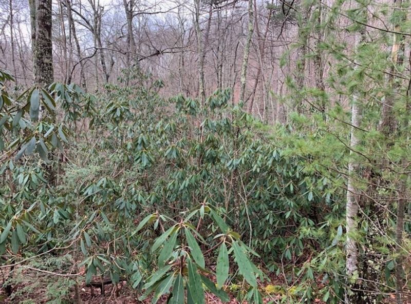 0 Laurel Ct 36 37 Alpine Dr Lot 36&37&38, Sevierville, TN 37876