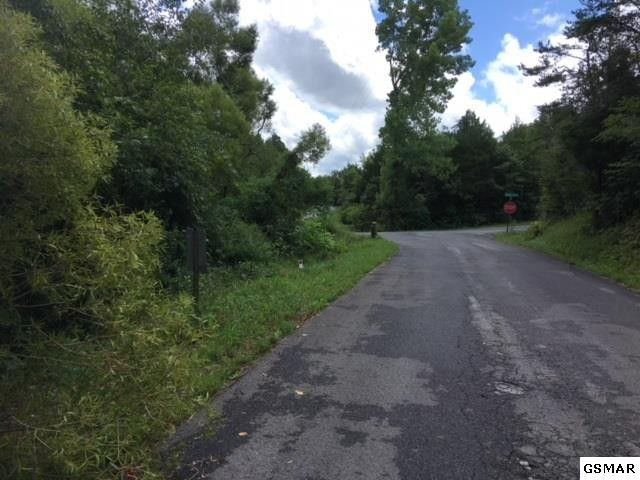 10 Buck Horn Rd Lot 10, Sevierville, TN 37876
