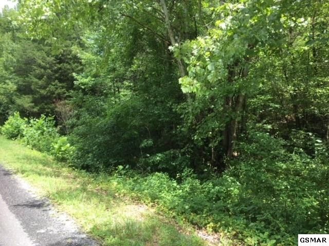 12 Buck Horn Rd Lot 10, Sevierville, TN 37876