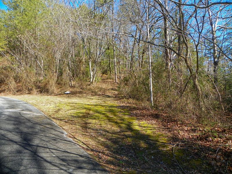 0 Oldham Springs Way Lot 9, Sevierville, TN 37876