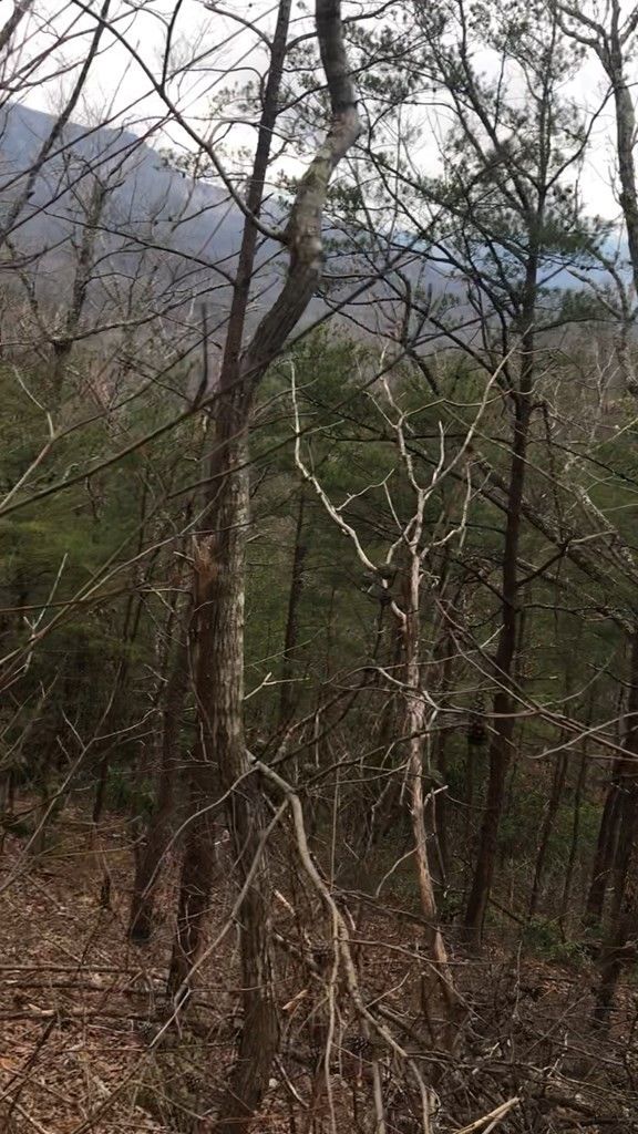18 Vixen Rn Lot 18, Sevierville, TN 37862