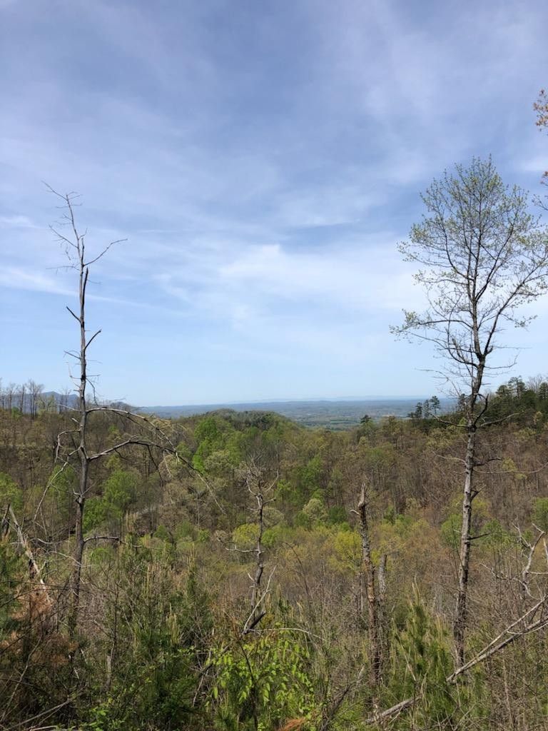 0 Sanders Ln Lot 74, Sevierville, TN 37876