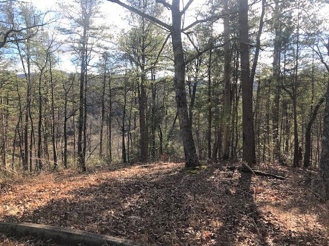 43 Storm Bringer Dr Lot 43, Sevierville, TN 37862