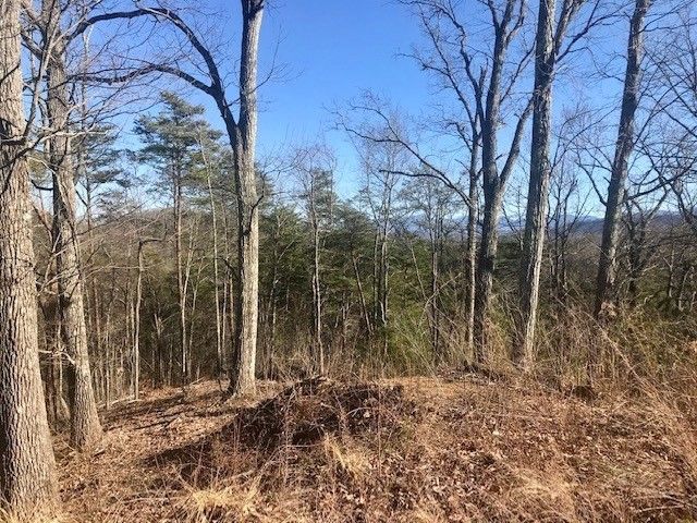 11 Lighting Strike Dr Lot 11, Sevierville, TN 37862