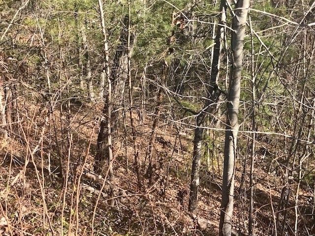 10 Lighting Strike Dr Lot 10, Sevierville, TN 37862