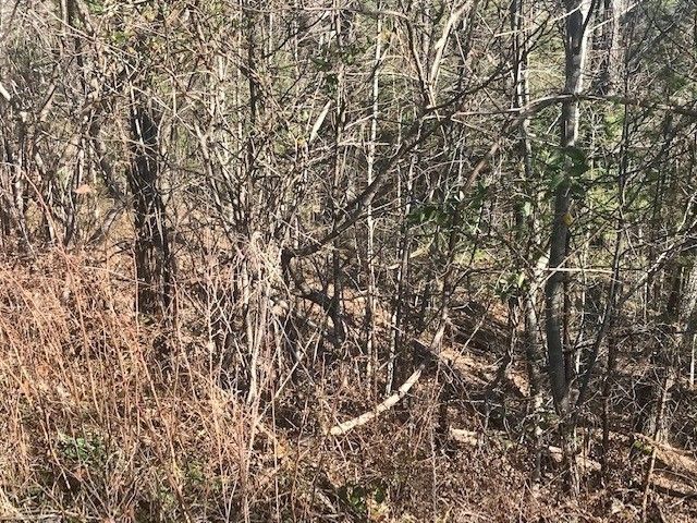 10 Lighting Strike Dr Lot 10, Sevierville, TN 37862