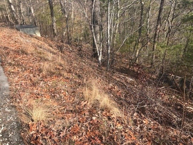 17 Lighting Strike Dr Lot 3, Sevierville, TN 37862