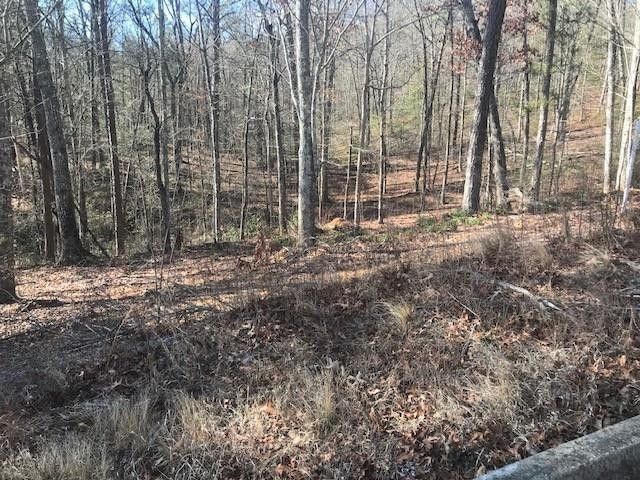 23 Cloudburst Dr Lot 23, Sevierville, TN 37862