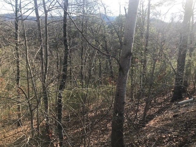 18 Lighting Strike Dr Lot 18, Sevierville, TN 37862