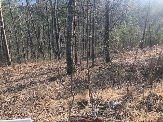 19 Red Sky Dr Lot 19, Sevierville, TN 37862