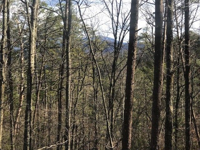 34 Red Sky Dr Lot 33, Sevierville, TN 37862