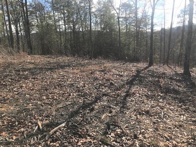 31 Cloudburst Dr Lot 27, Sevierville, TN 37862