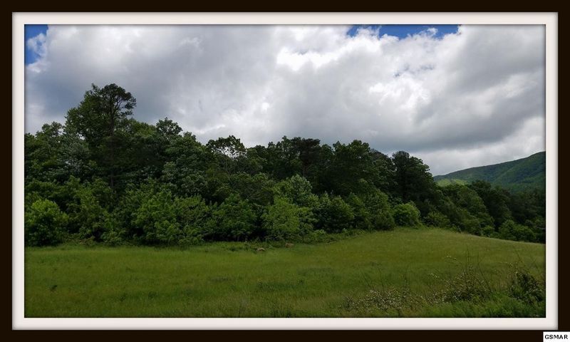 72 Clear Valley Dr Lot 72, Sevierville, TN 37862