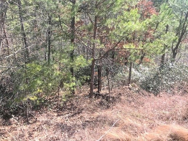 9 Lighting Strike Dr Lot 3, Sevierville, TN 37862