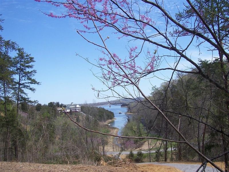 9 Pheasant Ct Lot 9, Sevierville, TN 37876