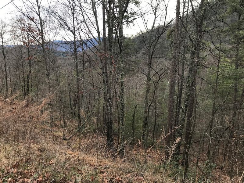 0 Overholt Trl Lot 3, Sevierville, TN 37862
