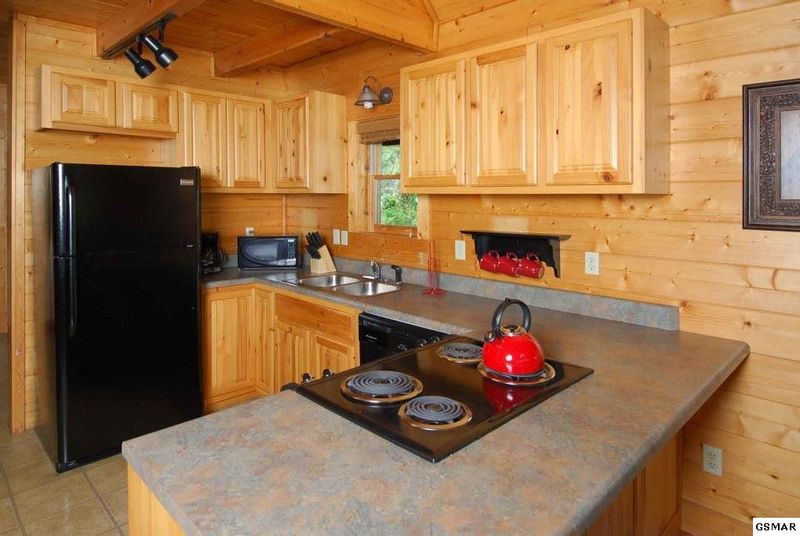1979 Mountain View Way #ABEARSHAVEN, Sevierville, TN 37876
