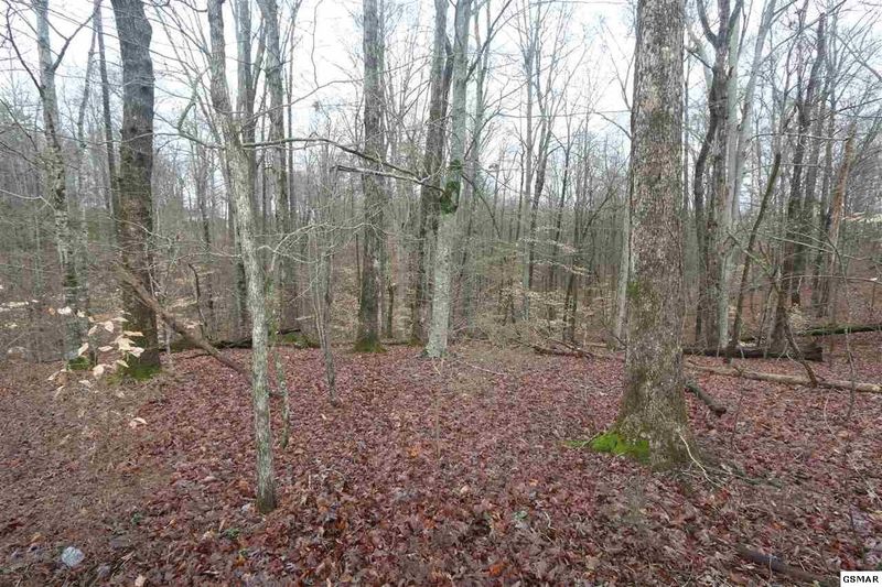7 Sims Rd Lot NONE, Sevierville, TN 37876