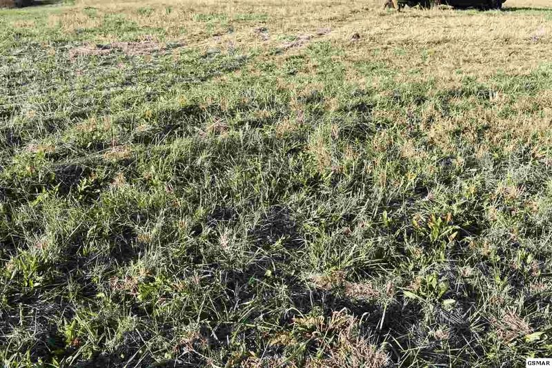 7 Mccleary Rd Lot 7, Sevierville, TN 37876