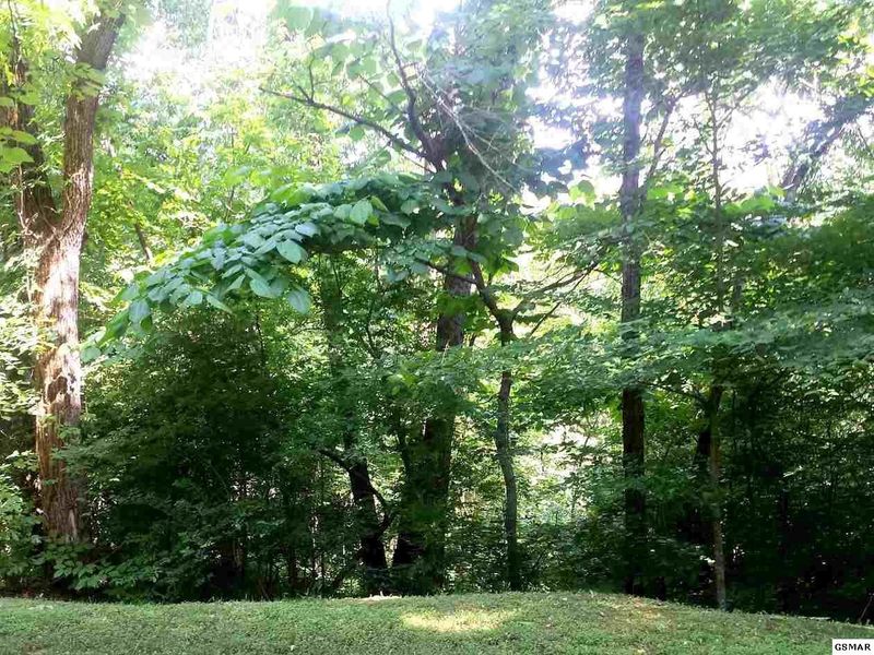0 Lot Saddle Creek Way Lot 3, Sevierville, TN 37862
