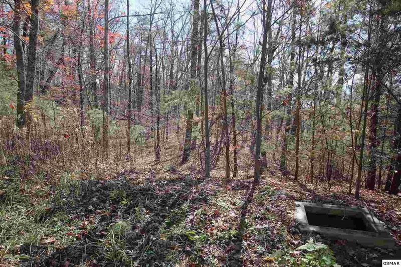 50 Mountain Ash Way Lot 50, Sevierville, TN 37876