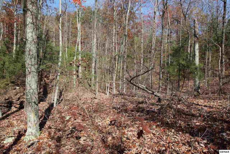 50 Mountain Ash Way Lot 50, Sevierville, TN 37876