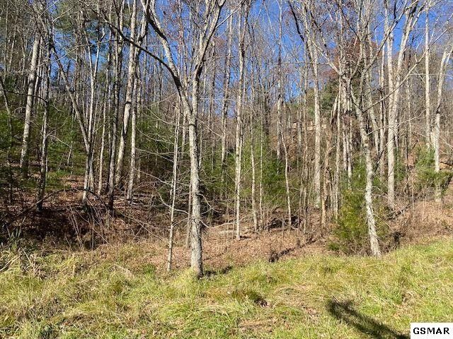 55 Wintergreen Dr Lot 55, Sevierville, TN 37876